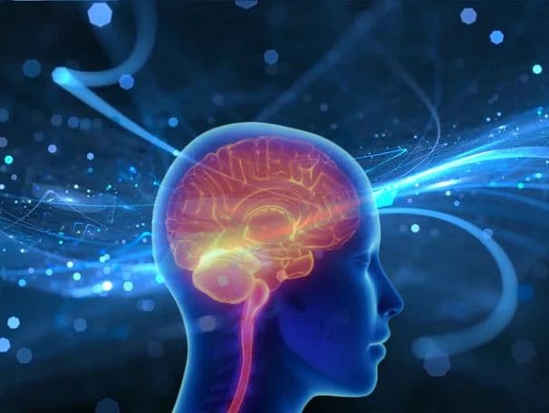 European Course in Neuroradiology (ECNR)
