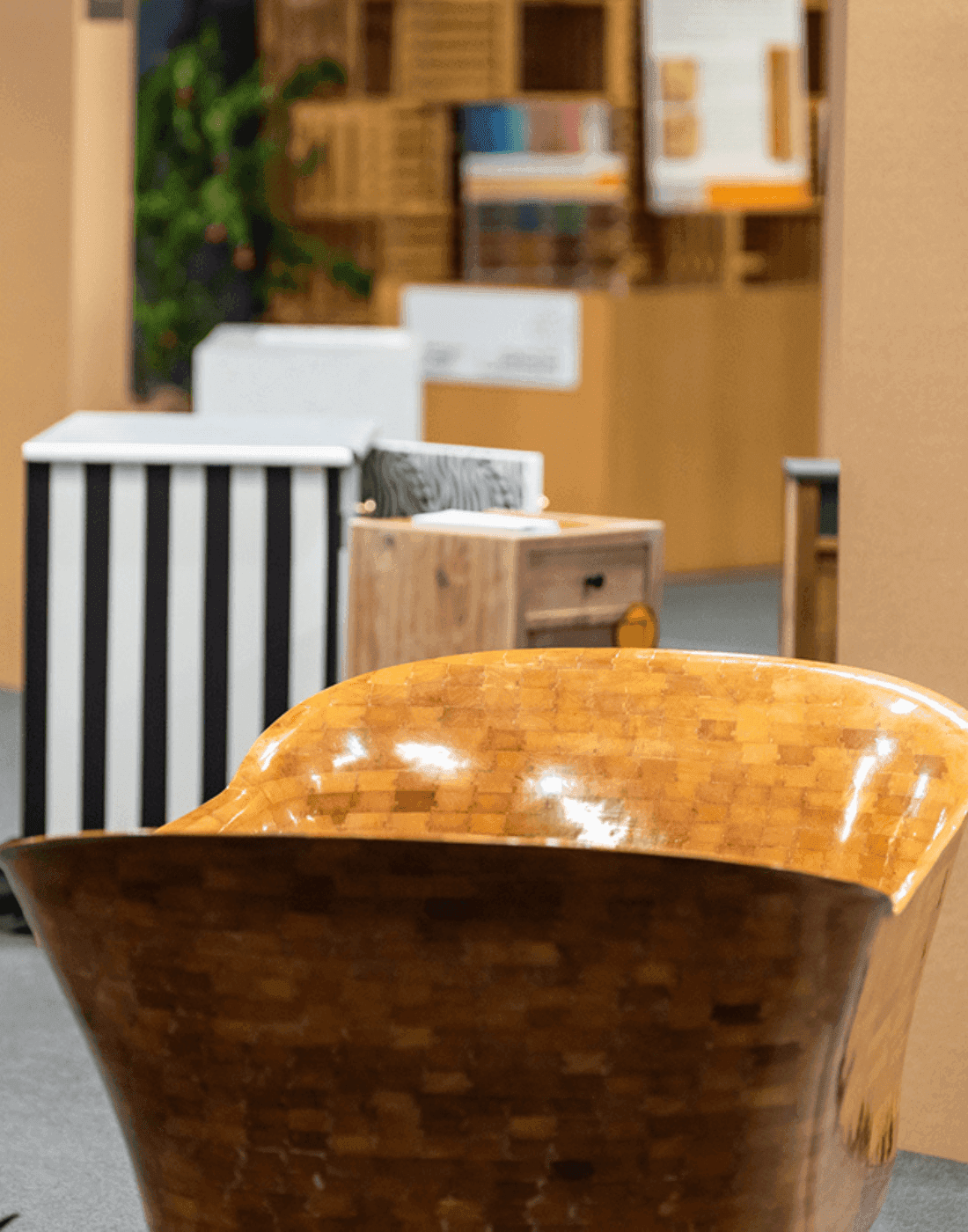 Ambient and Home Plus Fair
