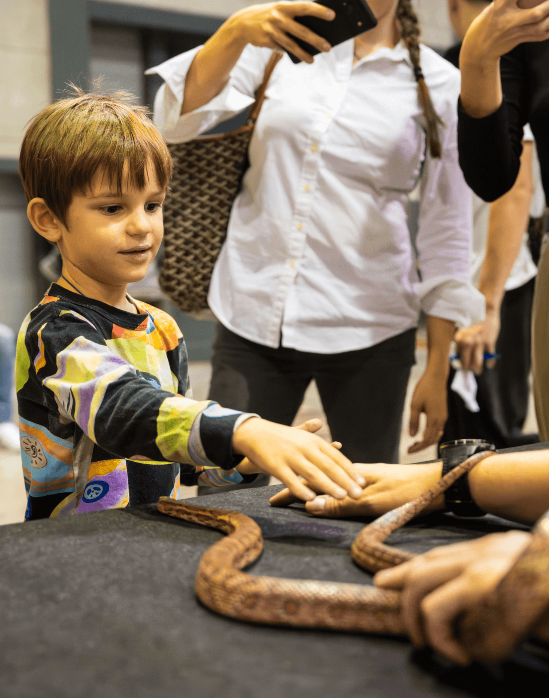 Nature-Health Fair